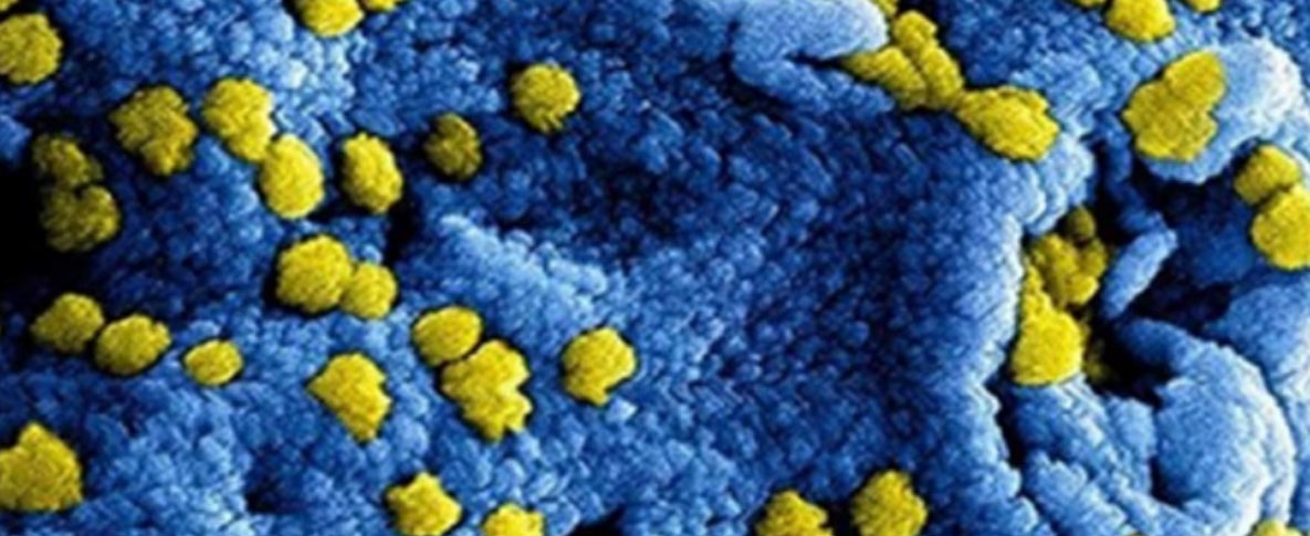 En alerta Tamaulipas por médico chino con posible coronavirus