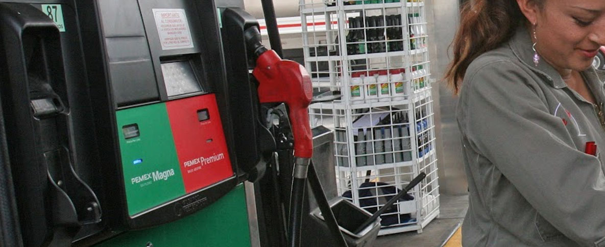 Halla Profeco rastrillo ‘insecto’ en gasolinera ‘transa’