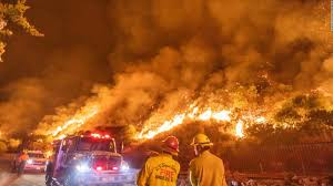 Incendios en California arrasan 142 mil hectáreas