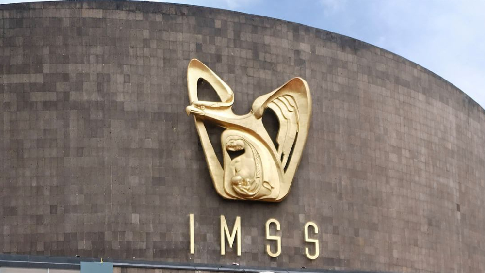 IMSS registra en noviembre la cifra de empleos “más alta en la historia”