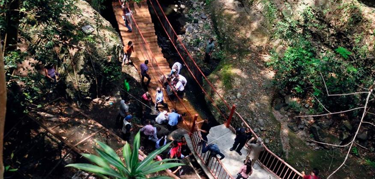 Tras caída de puente colgante, funcionarios de Cuernavaca dejan su cargo de manera voluntaria