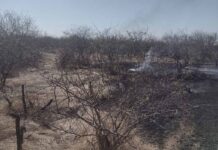 Bomberos abate cinco incendios forestales; piden no quemar basura