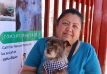 Ponen en marcha campaña de vacunación antirrábica