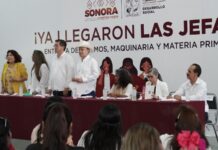 Entregan apoyos a jefas de familia del Sur de Sonora