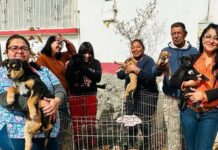 Invitan a “Adoptatón” el próximo sábado 03