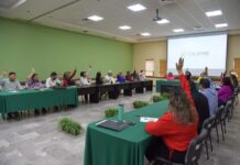 Gobierno municipal encuentra alternativa para la rehabilitación de la alberca pública ÁLVARO OBREGÓN