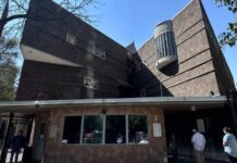 Gobierno de Canadá obligado por grupos antimigrantes a imponer visas: AMLO