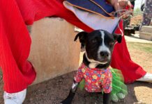 Invita Salud a la Jornada de Esterilización en Misión de Anza