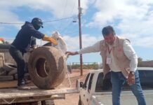 Jornada de Descacharre los días 11 y 12 de Abril