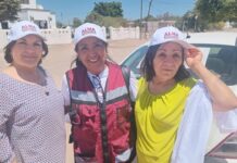 Lleva Alma Higuera el mensaje de la Transformación, casa por casa en la comunidad de San Ignacio Cohuirimpo.