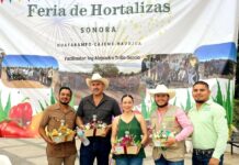 Con éxito se realiza la “FERIA DE LA HORTALIZA”