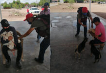 INVITA SALUD MUNICIPAL A CAMPAÑA DE VACUNACIÓN ANTIRRÁBICA PARA MASCOTAS