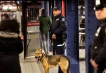 Mexicanas son empujadas a las vías del metro en Nueva York; detienen a la sospechosa