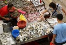 Nuevo estudio corrobora el origen del COVID-19 en un mercado chino de pescado