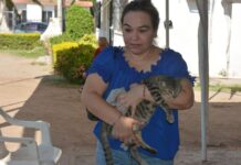 Siguen con éxito las esterilizaciones gratuitas a mascotas