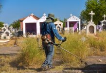 Inician trabajos de limpieza y mantenimiento en los panteones del municipio de Cajeme