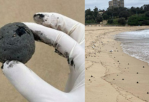 Cierran playas en Sidney tras aparición de misteriosas bolas negras