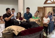 Esperan saldo blanco en el Operativo Peregrino Seguro