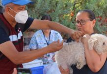 Con éxito dio inicio en Cajeme la jornada de Salud Canina y Felina
