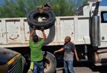 Sigue fuerte combate al dengue con más de 16 toneladas de cacharros recolectados