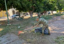 SSPM y autoridades de los tres niveles de Gobierno, coadyuvan en limpieza del parque alameda 2