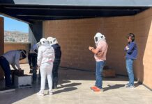 Pretenden crear santuario de abejas en esta frontera