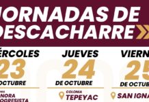 Invitan a participar en la jornada de descacharre