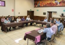 Participa la Comisión Especial para la Designación de Comisarios y Delegados en reunión con IEE Sonora.