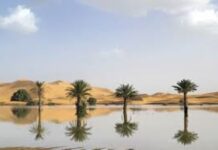 Inusuales lluvias en el desierto del Sahara