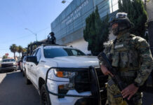 Procesan a seis detenidos en la operación ‘Enjambre’
