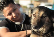 Realiza Ayuntamiento de Guaymas «Feria de emprendimiento» e instalación de «Módulo de adopción canina».
