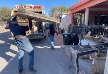 Beneficia Ayuntamiento de Hermosillo a más de mil familias en jornadas de descacharre en la colonia Cuauhtémoc