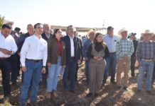 Acompaña Javier Lamarque al gobernador Alfonso Durazo en arranque del plan emergente de rastreo fitosanitario en cajeme