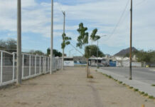 Beneficia Ayuntamiento de Hermosillo a familias de Tierra Nueva con programa “Ilumina Tu Calle”