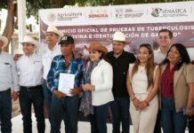 Gobierno del Estado impulsa programa integral para erradicar la tuberculosis bovina en la región del Mayo
