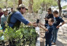 Reciben ciudadanos árboles nativos en campaña gratuita del Vivero Municipal