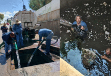 Exhorta Imagen Urbana de Cajeme a no arrojar basura para evitar taponamientos en el sistema de Drenaje Pluvial