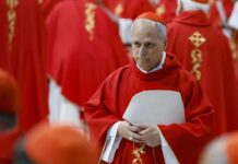 Papa León XIV, nuevo líder de la Iglesia Católica