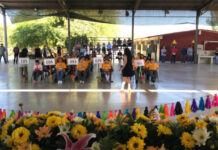 Participan más de mil alumnos en la Olimpiada del Conocimiento Infantil