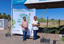 Cajeme Sostenible: VIVERO MÓVIL PROMUEVE LA EDUCACIÓN AMBIENTAL Y REFORESTACIÓN