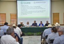 Exponen necesidades e integran estrategias en sector Agropecuario durante reunión del consejo Municipal para el desarrollo rural sustentable en Cajeme
