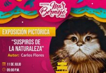 Invita Ayuntamiento de Guaymas a la exposición pictórica “Suspiros de la naturaleza”