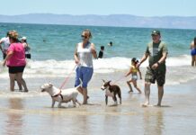 Disfrutan hermosillenses y visitantes la playa de Bahía de Kino este periodo vacacional