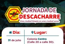 Tendrán colonias jornada de descacharre este jueves y viernes