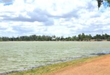 Trabajan en embellecimiento y estabilidad hídrica de la laguna del náinari