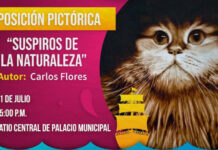 Invitan a la exposición pictórica “Suspiros de la naturaleza”