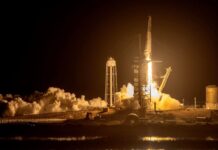 Despega la misión Crew-11 de la NASA y SpaceX rumbo a la EEI