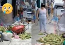 Bautizan como «Lady Elotes» a mujer que enfureció y destrozó un puesto de elotes