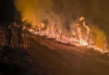 Gobierno de España califica los incendios como una de las peores catástrofes medioambientales del país