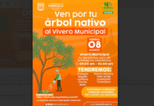 Tendrá Ayuntamiento de Hermosillo jornada de entrega de árboles nativos este viernes